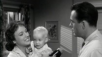 The Donna Reed Show - Episode 11 - The Baby Contest