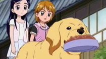 Futari wa Precure - Episode 22 - You're Kidding! Chutaro's Going to Be a Mom!?