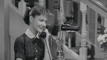 The Donna Reed Show - Episode 36 - Love's Sweet Awakening