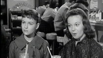 The Donna Reed Show - Episode 33 - Mary's Crusade