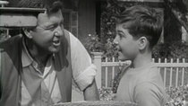 The Donna Reed Show - Episode 7 - The Neighborly Gesture
