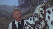 Green Acres - Episode 29 - Horse? What Horse?