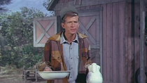 Green Acres - Episode 5 - My Husband, the Rooster Renter