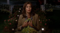 Desperate Housewives - Episode 20 - I'll Swallow Poison on Sunday