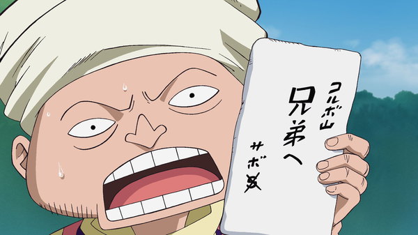 One Piece - Ep. 503 - Take Good Care of Him! A Letter from the Brother!