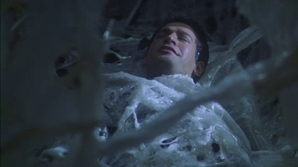 screan capture from Star Trek Enterprise, Vox Sola, with someone being held in tentacles. Kinky.
