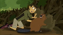 Wild Kratts - Episode 8 - Build It Beaver