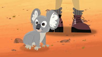 Wild Kratts - Episode 22 - Koala Balloon