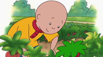 Caillou - Episode 15 - Caillou Gets Dressed