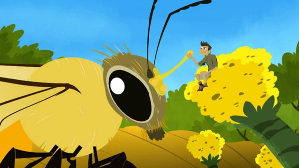 Wild Kratts Season 1 Episode 36