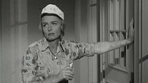 The Donna Reed Show - Episode 3 - Donna Decorates