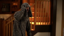 Wilfred - Episode 4 - Honey You're Killing The Dog