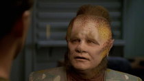 Star Trek: Voyager - Episode 20 - Investigations