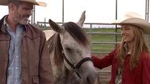 Heartland (CA) - Episode 8 - One Day