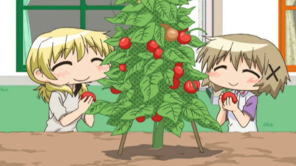 Hidamari Sketch x Hoshimittsu - Ep. 12 - July 12th: Three Stars x Lycopene