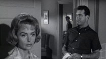 The Donna Reed Show - Episode 12 - Alex, the Professor