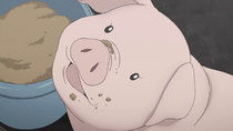 Gin no Saji - Episode 10 - Hachiken Says Goodbye to Pork Bowl
