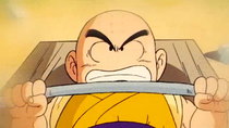 Dragon Ball - Episode 95 - Goku vs. Krillin