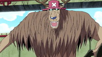 One Piece - Water 7 (207-325) O Retorno do Chefe Luffy! Sonho ou Realidade?  A Comoção da Loteria! - Assista na Crunchyroll