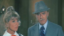 The Doris Day Show - Episode 8 - Jimmy the Gent