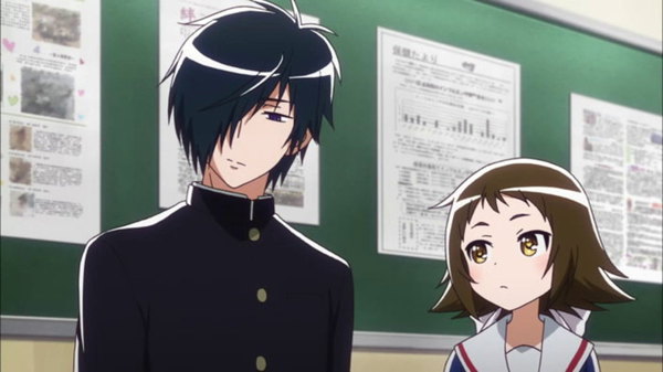 Mikakunin de Shinkoukei - Episódio 1 Online - Animes Online