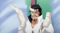 Bleach Episode 150 - Watch Bleach E150 Online