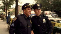 Blue Bloods - Episode 5 - What You See