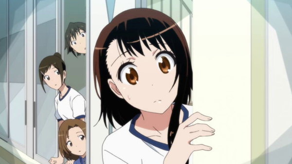 nisekoi