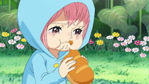 One Piece - Episode 651 - Protect You to the End! Rebecca and the Toy Soldier!