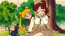 Bishoujo Senshi Sailor Moon - Episode 29 - Total Chaos: The Messy Love Rectangle