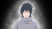 Naruto Shippuuden - Episode 370 - Sasuke's Answer