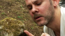 Wild Things with Dominic Monaghan - Episode 5 - White Goliath Beetle