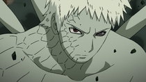 Naruto Shippuuden - Episode 378 - The Ten Tails Jinchuuriki