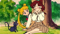 Bishoujo Senshi Sailor Moon - Episode 29 - Total Chaos: The Messy Love Rectangle