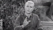 The Many Loves of Dobie Gillis - Episode 11 - Dobie's Birthday Party