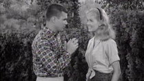 The Many Loves of Dobie Gillis - Episode 8 - Around My Room in 80 Days