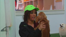 Snooki & JWOWW - Episode 6 - Calm Down Hormonal!