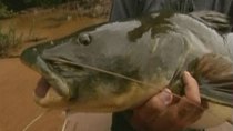 River Monsters - Episode 6 - Amazon Flesh Eaters