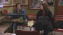 Mike & Molly - Episode 18 - Peggy Goes to Branson