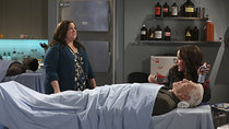 Mike & Molly - Episode 3 - Sex and Death