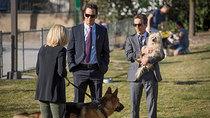 Franklin & Bash - Episode 5 - By the Numbers