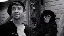 The Many Loves of Dobie Gillis - Episode 25 - The Little Chimp That Couldn't