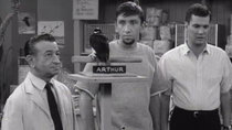 The Many Loves of Dobie Gillis - Episode 10 - Strictly for the Birds