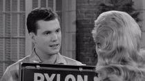 The Many Loves of Dobie Gillis - Episode 21 - Birth of a Salesman