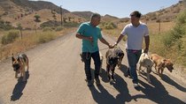 Cesar 911/ Cesar To The Rescue - Episode 2 - Kicked to the Curb