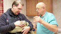 The Incredible Dr Pol - Episode 4 - Money Barks