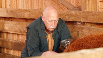 The Incredible Dr Pol - Episode 5 - Slop, Drop and Pol
