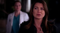 Grey's Anatomy - Episode 21 - How to Save a Life