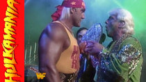 OSW Review - Episode 22 - OSW Review #24 - WWF Survivor Series 1991