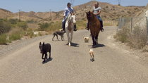 Cesar 911/ Cesar To The Rescue - Episode 5 - Tasi the Terrible